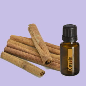 Cassia