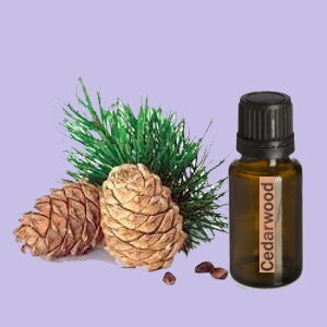 Cedarwood