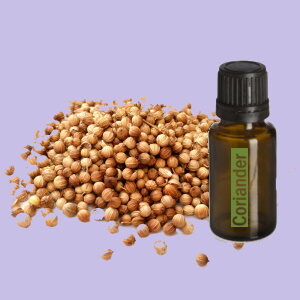 Coriander