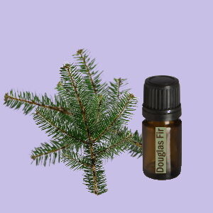 Douglas Fir