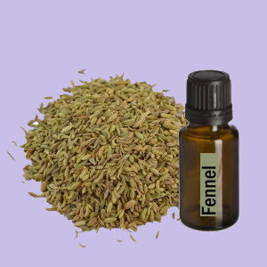 Fennel