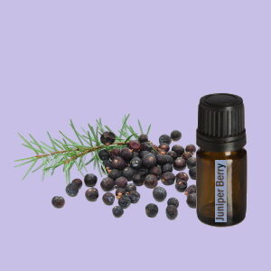 Juniper Berry