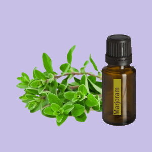 Marjoram