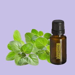 Oregano