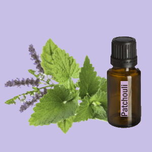 Patchouli