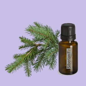 Siberian Fir