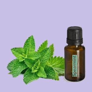 Spearmint