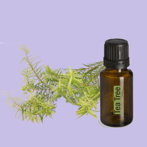 Tea Tree