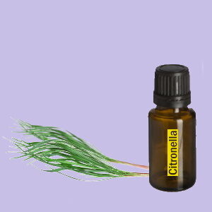 Citronella