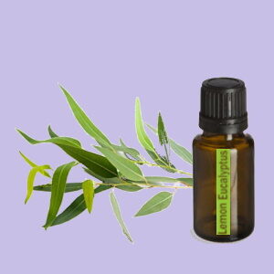 Lemon Eucalyptus