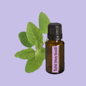 Tulsi